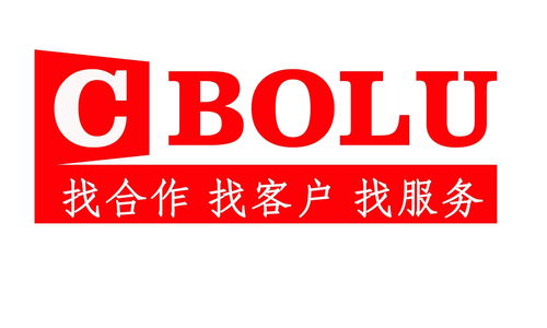 武漢博陸信息科技