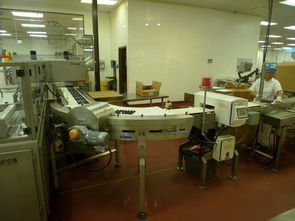 美西七日經(jīng)典游 暢游拉斯維加斯、巧克力工廠與仙人掌公園的科技與自然之旅